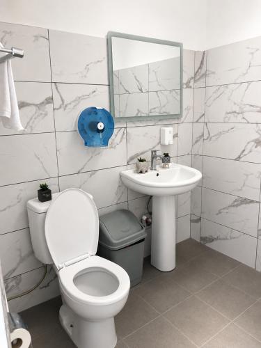 a bathroom with a toilet and a sink and a mirror at Eagle Park&Camping in Bajkaj
