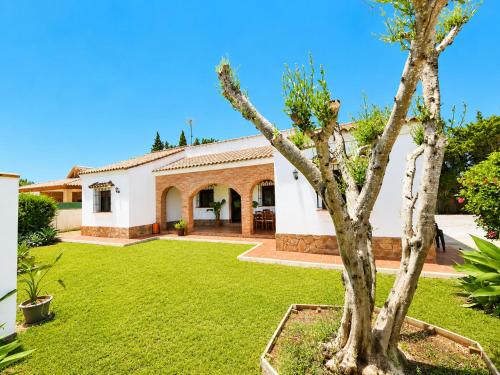 a house with a green yard and a tree at Casa el Jilguero Conil in Conil de la Frontera