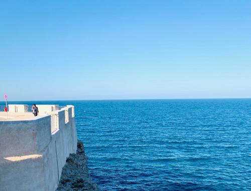a person sitting on a wall next to the ocean at Dimora Anvi - Relax Fronte Mare in Polignano a Mare