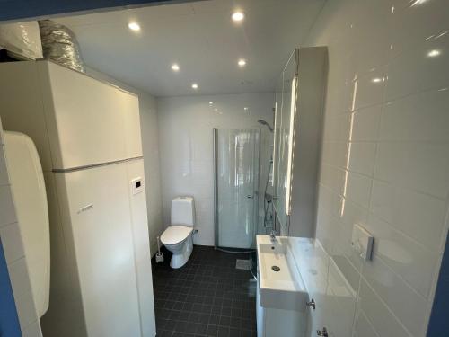 a bathroom with a toilet and a sink and a shower at Charmig stuga i Abbekås in Abbekås