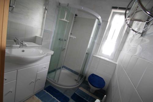 a bathroom with a shower and a sink at Ferienhaus B2 Concordiasee in Friedrichsaue