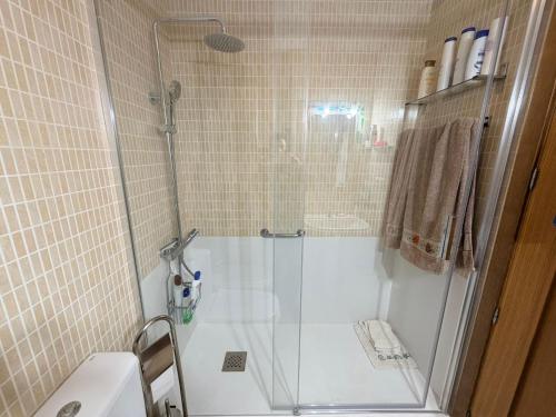 a bathroom with a shower and a toilet and a sink at Apartamento Liencres in Liencres
