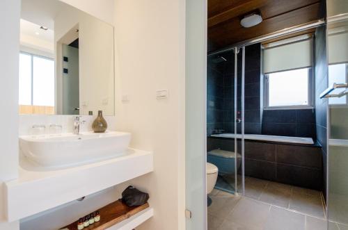 a bathroom with a sink and a shower at WMS Villa in Dongshan