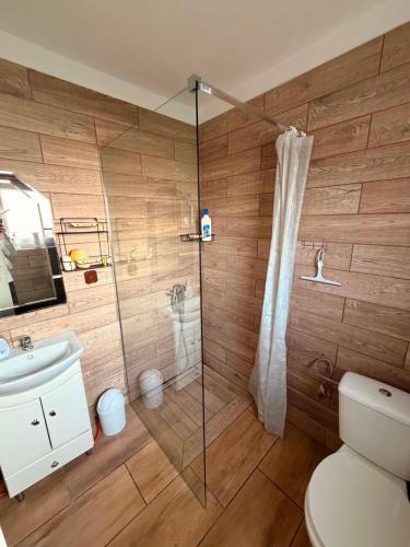a bathroom with a shower with a toilet and a sink at Noclegi u Lucyny in Chęciny