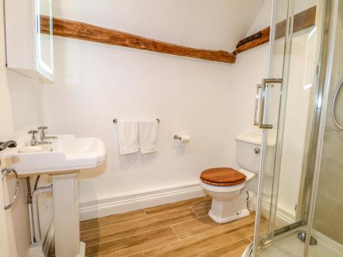a bathroom with a toilet and a sink and a shower at The Granary in Petworth