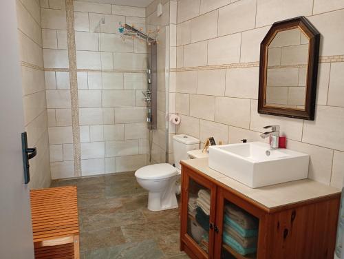a bathroom with a sink and a toilet at Au jeu de mots, chambre d'hôtes proche Poligny in Barretaine