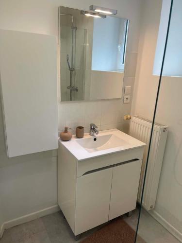 a bathroom with a white sink and a mirror at Maison Oria in Souvigny