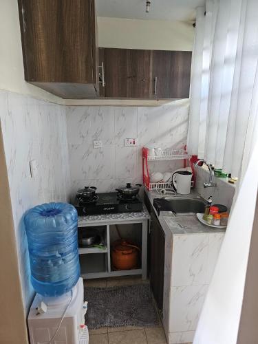 a small kitchen with a stove and a sink at Pinnacle Homes 254 - Kamakis in Ruiru
