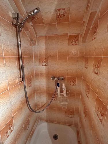 a bathroom with a shower with a toilet in it at La Gran Vigne in Salernes