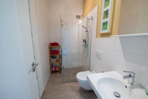 a bathroom with a shower and a toilet and a sink at Am Bienenfeld in Ettenheim