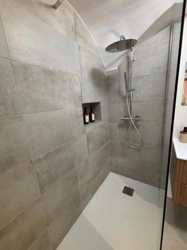 a shower with a glass door in a bathroom at Charmant studio en Auvergne in Orcines