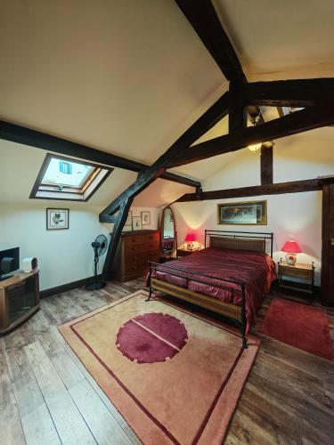 a bedroom with a bed and a red rug at Gite du Paradis in Vieuzos