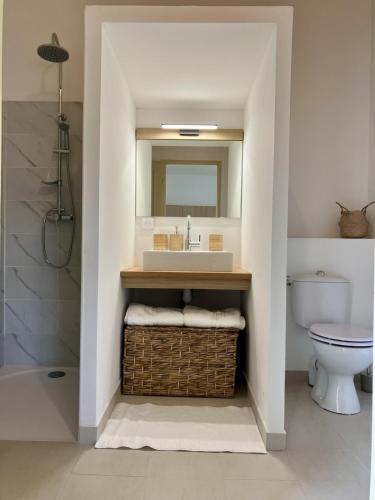 a bathroom with a sink and a toilet and a mirror at Balcon sur les vignes - Loft de charme 2 pers in Cournanel