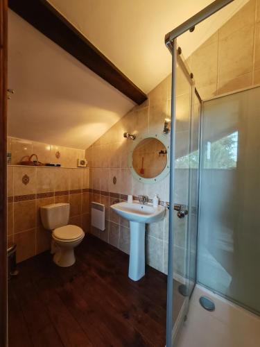 a bathroom with a sink and a toilet and a shower at Gite du Paradis in Vieuzos
