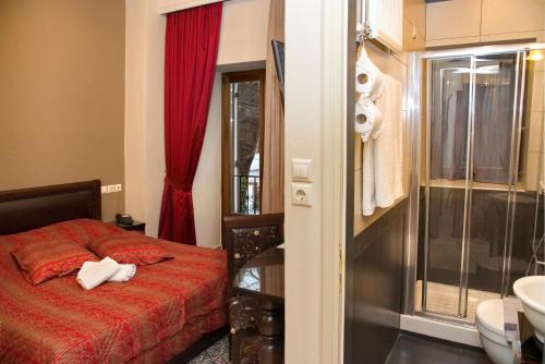 a bedroom with a bed and a shower and a sink at Hotel Filoxenia in Portaria