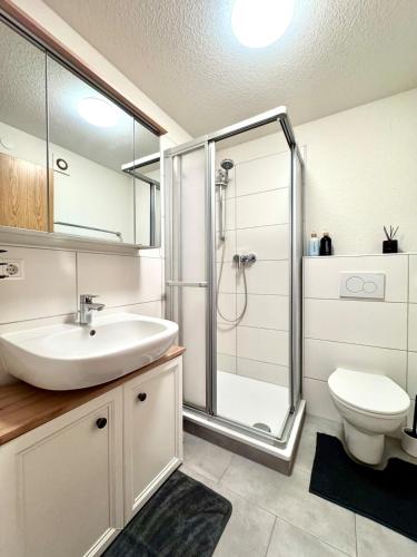 a bathroom with a shower and a sink and a toilet at Ferienwohnung Artemis in Eggingen