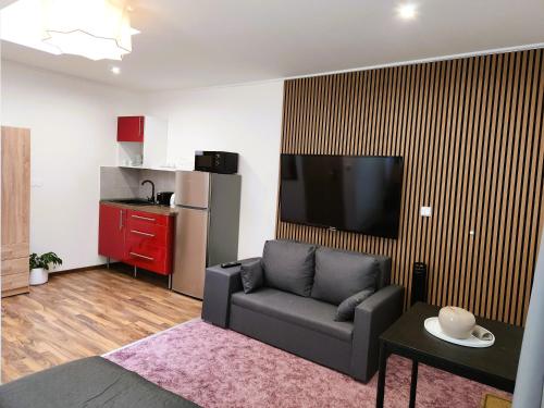 a living room with a couch and a flat screen tv at Apartment v podzámčí in Františkovy Lázně