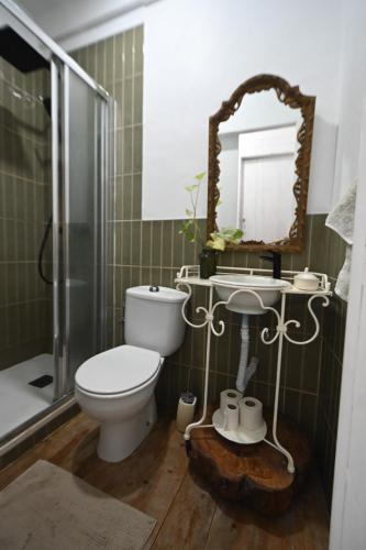 a bathroom with a toilet and a sink and a mirror at Quinta Da Carvalheira Regenerative Coliving in Soure