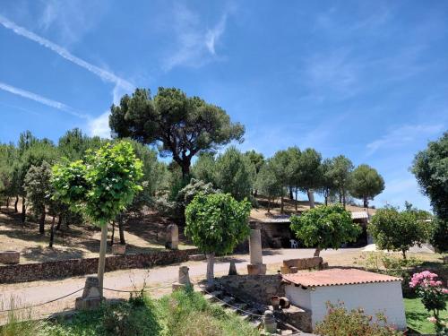a view of a park with trees and a building at El Cerro del Pinar in Oropesa