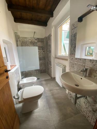 a bathroom with a toilet and a sink at La Antica Torre in Sasseta