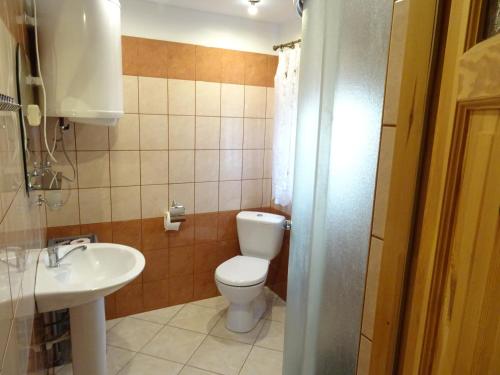 a small bathroom with a toilet and a sink at Domek Bieszczady Wolkowyja 2 nad Solina in Wołkowyja