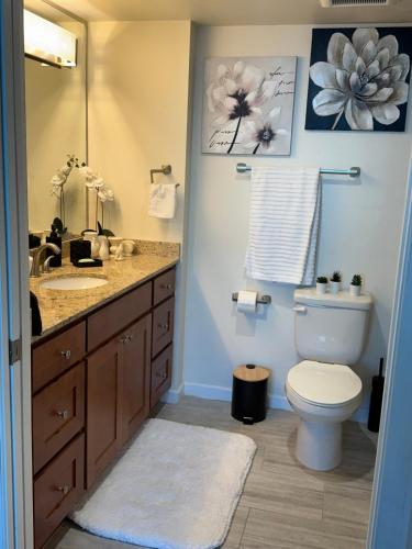 a bathroom with a sink and a toilet and a mirror at Luxury II in Fort Myers