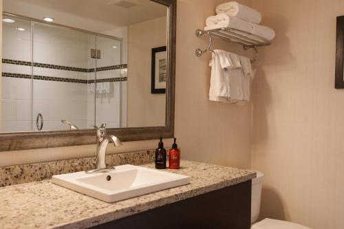 a bathroom with a sink and a mirror and a toilet at Marmot Lodge Jasper in Jasper