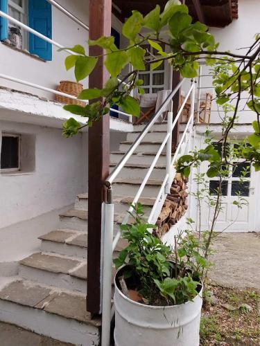 a set of stairs leading up to a white house at Mama's home in Arethousa