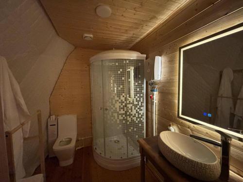 a bathroom with a shower and a toilet and a sink at Trichk Resort in Goris