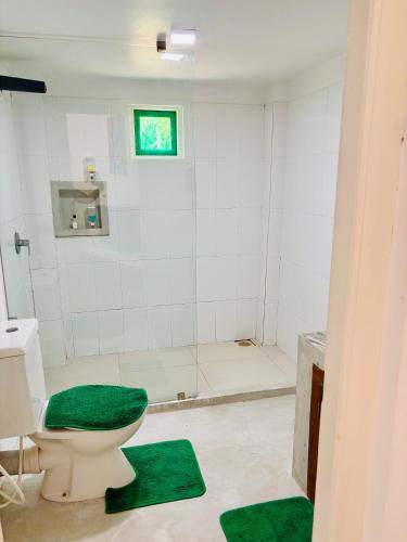 a bathroom with a toilet and a green rug at Moon Isle Beach Bungalow in Nilaveli
