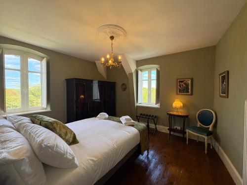 a bedroom with a bed and a chandelier at Chateau de Briand in Luxé