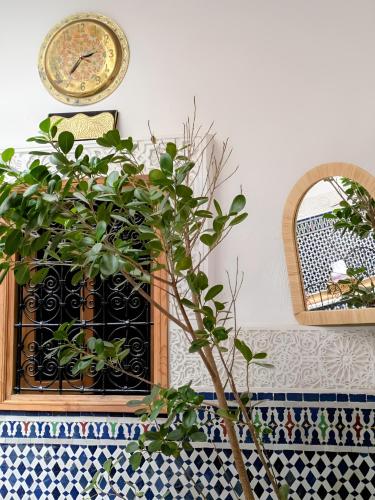 a clock on a wall next to a plant and a mirror at Riad Tafoukt Palace in Fez
