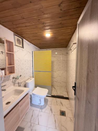 a bathroom with a toilet and a sink at Norita Luxury Camp in Wadi Rum