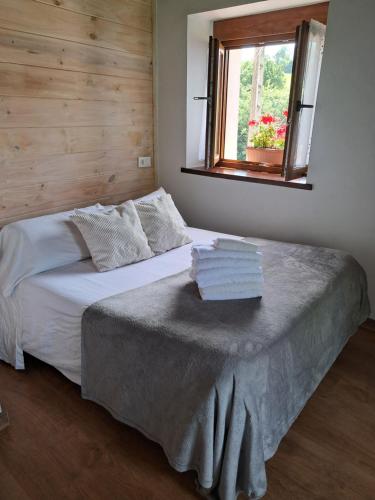 a bedroom with a bed with a window and towels at Casa Elena in Cangas de Onís