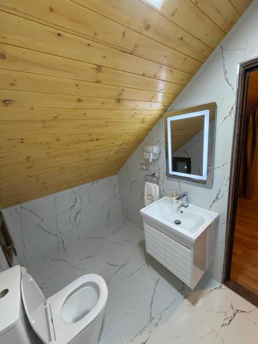a bathroom with a white toilet and a sink at Guri i Lekës Guesthouse in Shkodër