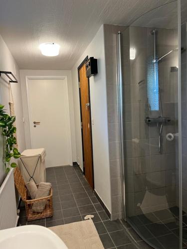 a bathroom with a shower and a sink at Mysig Lägenhet in Varberg