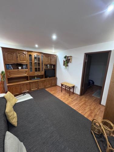 a living room with a couch and wooden cabinets at Rustic Paradise Turda in Turda