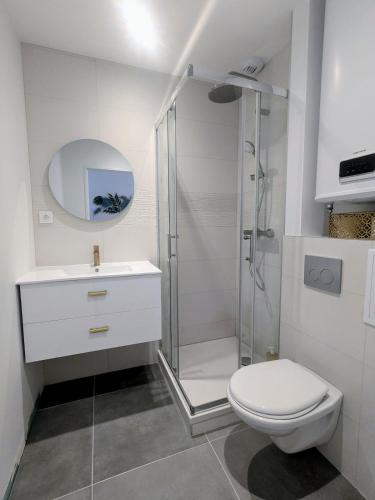 a bathroom with a shower and a toilet and a sink at Air-conditioned apartment - two bedrooms in Vichy