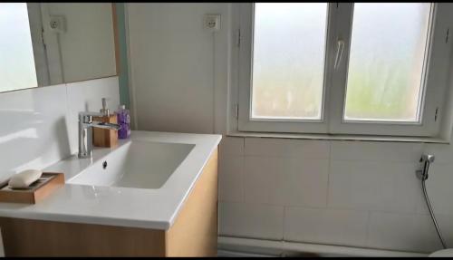 a white bathroom with a sink and a window at Appartement T2 Proche du CH d'Arras in Sainte-Catherine