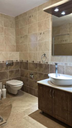 a bathroom with a sink and a toilet and a mirror at Terrace Urla in Urla