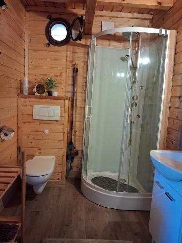 a bathroom with a shower and a toilet and a sink at Domki Obok Ruin in Trzęsacz