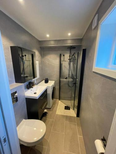 a bathroom with a shower and a sink and a toilet at Nyoppusset hybelleilighet in Bjørkheim