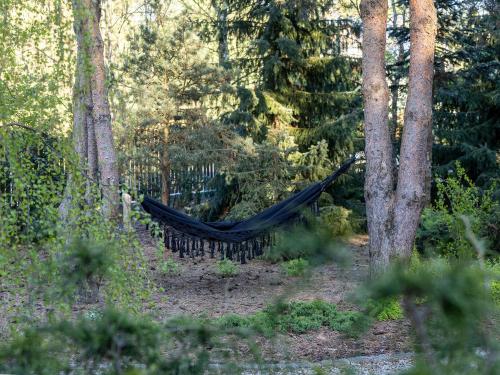 a hammock in the middle of a forest at Domek Hortensja in Zawady