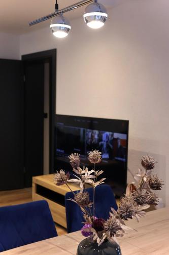 Betty apartments Borik - whole ground floor