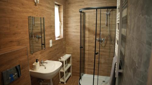 a bathroom with a sink and a shower at Pokoje Green House in Ustroń