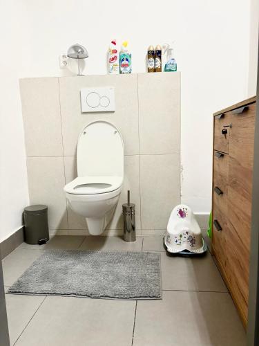 a bathroom with a toilet and a rug at Apartmán Majerův dvůr in Rožnov pod Radhoštěm