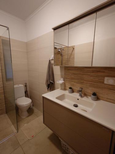 a bathroom with a sink and a toilet at Casa David in Băile Govora