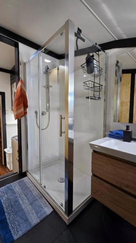 a shower with a glass door in a bathroom at Algo Azul Something Blue in Wellington