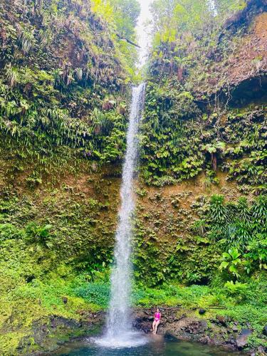 a person standing in the water in front of a waterfall at sunset lovers cottage in Canefield