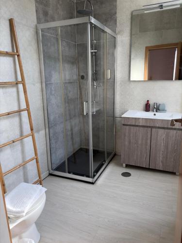 a bathroom with a shower and a toilet and a sink at Garden Place Alojamento Local in Viseu
